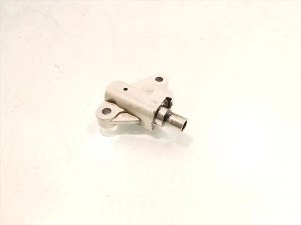 Tendeur de chaîne de distribution Hyundai OEM F446907 image 2
