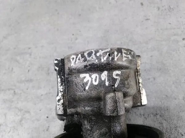 Servostyrningspump Peugeot Partner I OEM 9638383080 image 9