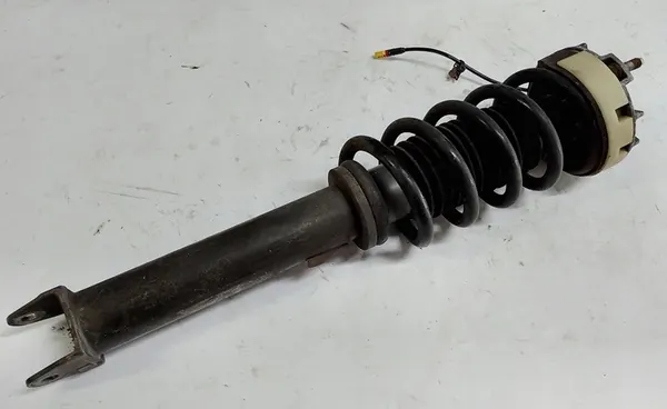 Ammortizzatore posteriore Porsche 997 99733310501 image 2