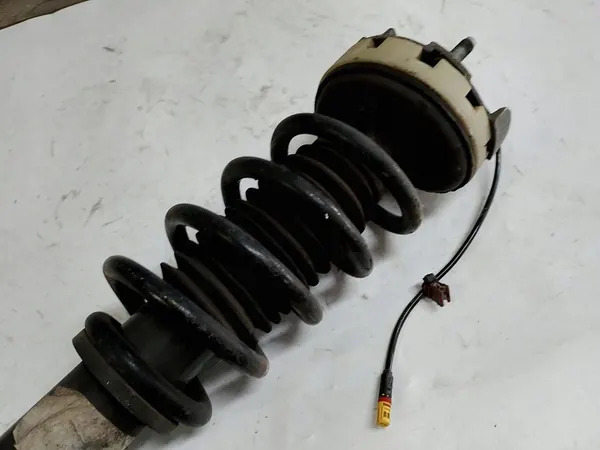 Ammortizzatore posteriore Porsche 997 99733310501 image 5