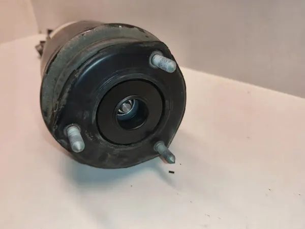 Luftfeder vorne links Lexus LS OEM 4802050391 image 4