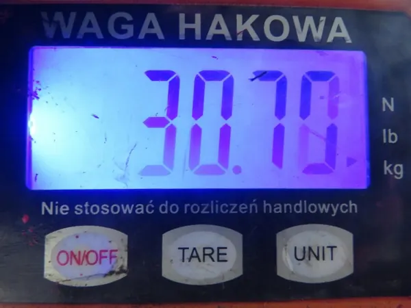 Bakaxelbalk OEM BELKA TYŁ SEAT IBIZA IV (6J5, 6P1) HB image 7