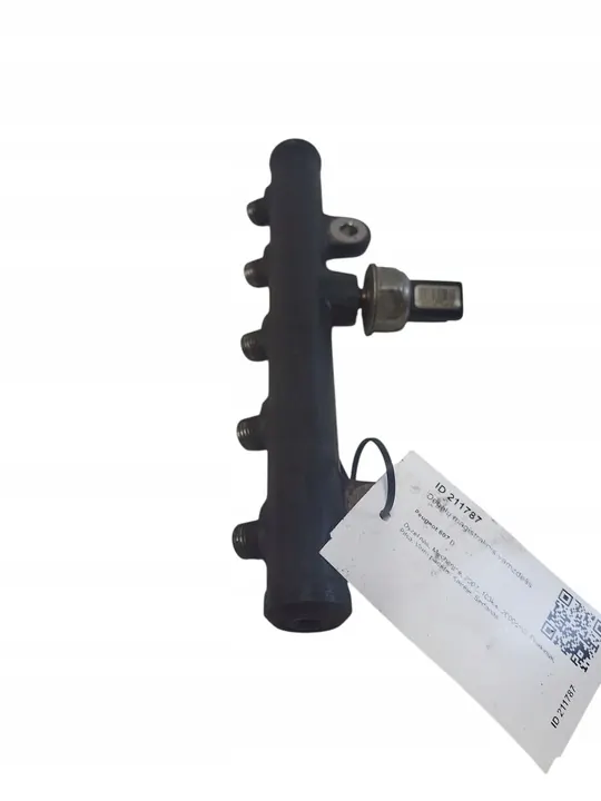 Brandstofslang Peugeot 607 image 4