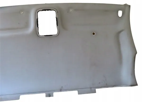 Renault OE Plafonnier 739011526 pour Trafic II 2001-2014 image 3