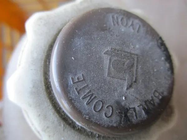 Reservatório de refrigerante Renault Master II 2.5DCI 7700838740E image 3