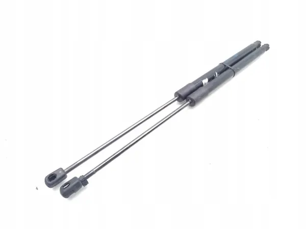 Amortisseur hayon OEM 39169064 pour Vauxhall Insignia image 4