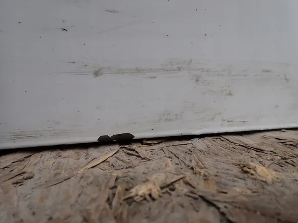 Fram höger dörr Peugeot 301 Citroen C Elysse 2012- image 4