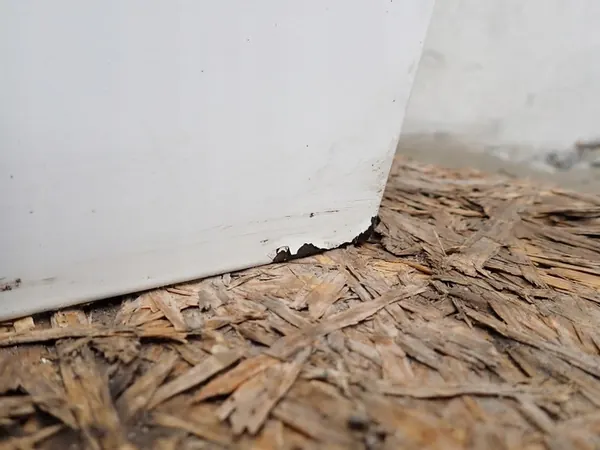 Fram höger dörr Peugeot 301 Citroen C Elysse 2012- image 5