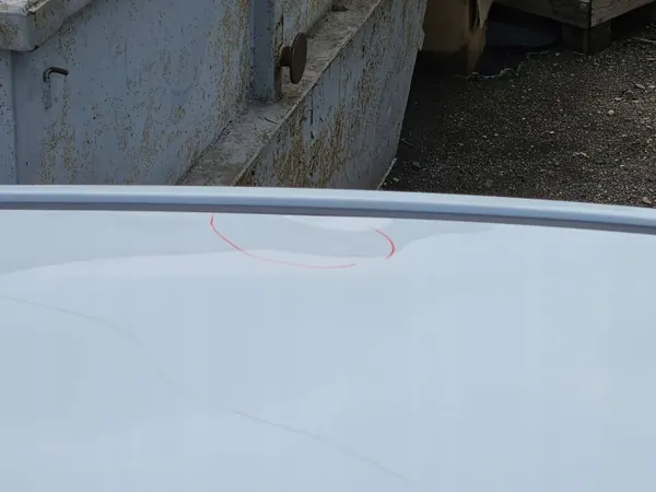 Painel central do teto BMW X1 U11 OEM LPV15030 image 4