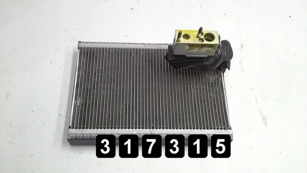 OEM AM-317315 Citroen C4 Picasso Évaporateur AC image 2