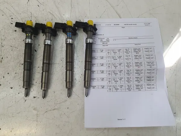 OEM 0445116035 Einspritzdüse für VW Transporter T5 2.0 TDI image 2