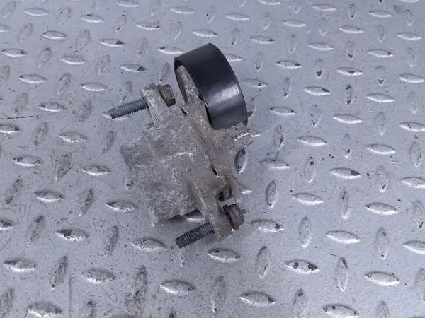 Tensor de correa alternador OEM AGR27194 para Citroen image 3