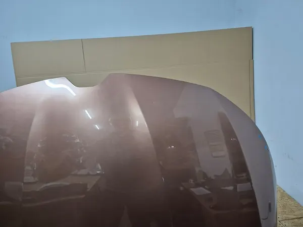 Framhuv RENAULT MEGANE IV image 8