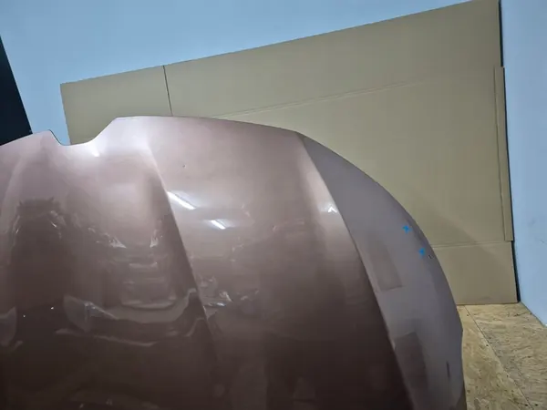 Framhuv RENAULT MEGANE IV image 9