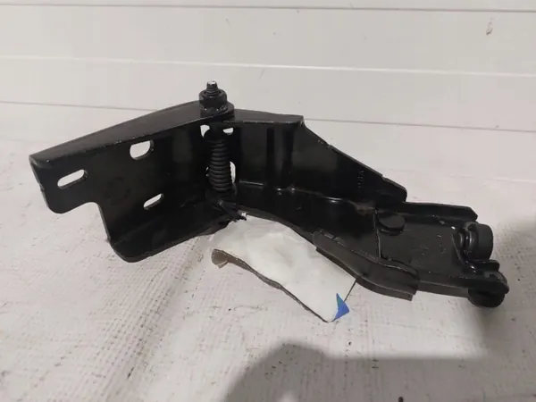 Joint de porte arrière droit OEM 994AB pour Chrysler Pacifica 2017 image 2