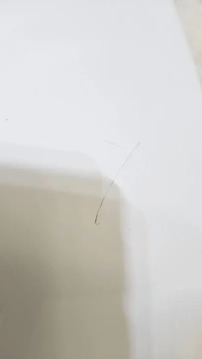 Höger Framskärm NISSAN X-TRAIL T32 OEM image 6