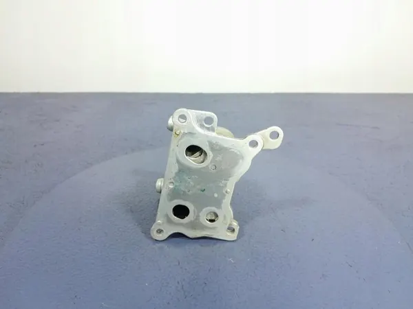 NISSAN QASHQAI III J12 1.3 DIG-T Ölkühler 213052926R image 3