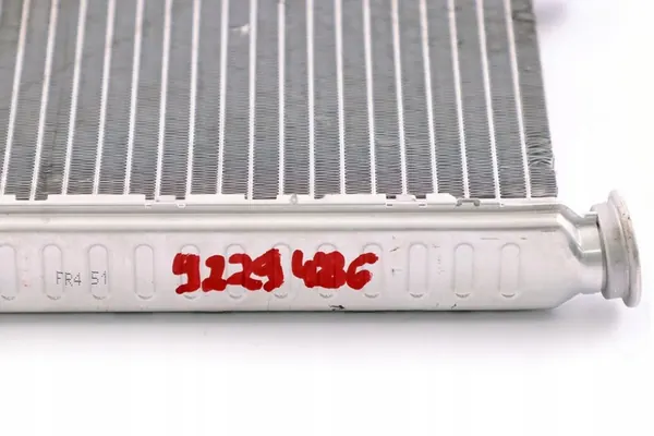 BMW F20 F21 F22 F30 F80 M2 F82 M4 Calentador de Agua OEM image 2