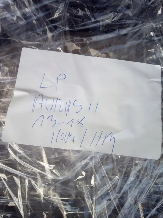 Toyota Auris II 13-18 linker voorportierdichting OEM image 3