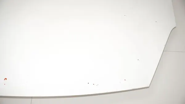 OEM 363002737 Moottorikansi Citroen Berlingo III image 7