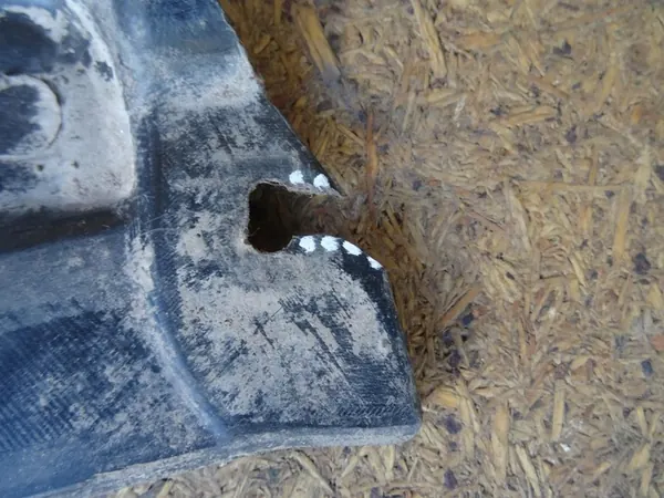 Motorlock AUDI A4 B8 8F0863821 image 8