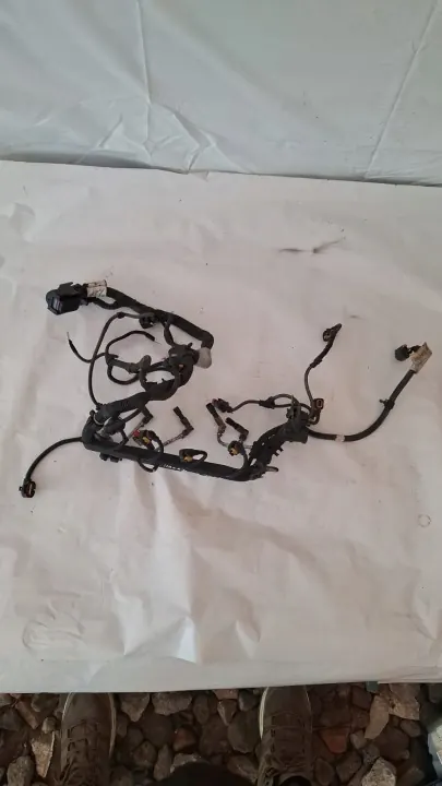 Harness Motor OEM 00552343210 para Fiat image 2
