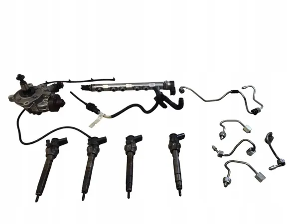 Conjunto sistema inyección BMW OEM 0445010519 image 2