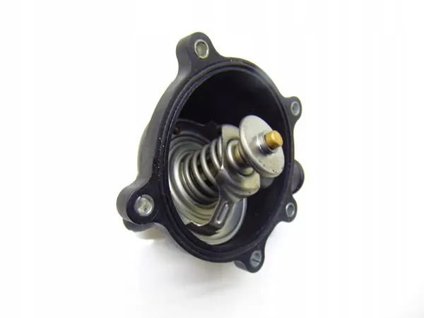 Vattenpump Hölje Audi S8 D3 5.2 FSI image 4