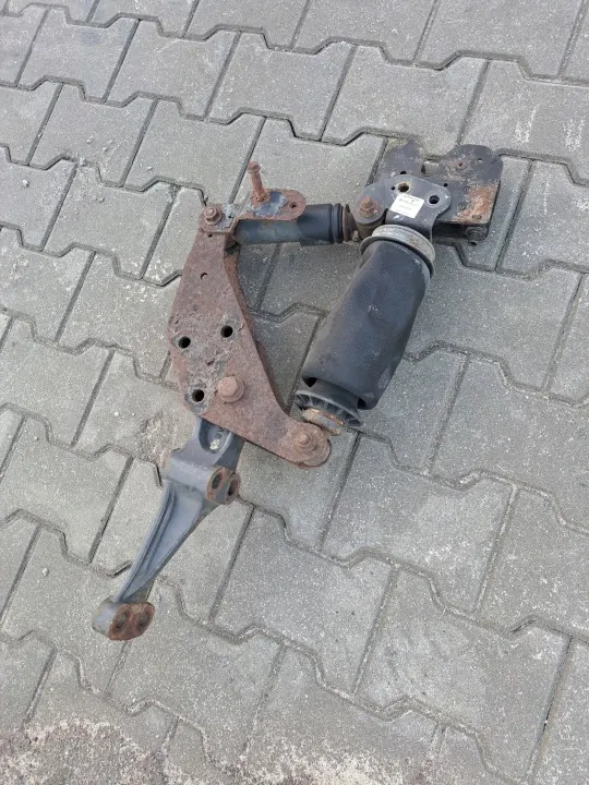 Renault OE Suspension Cabine Coussin Verrou OEM image 2
