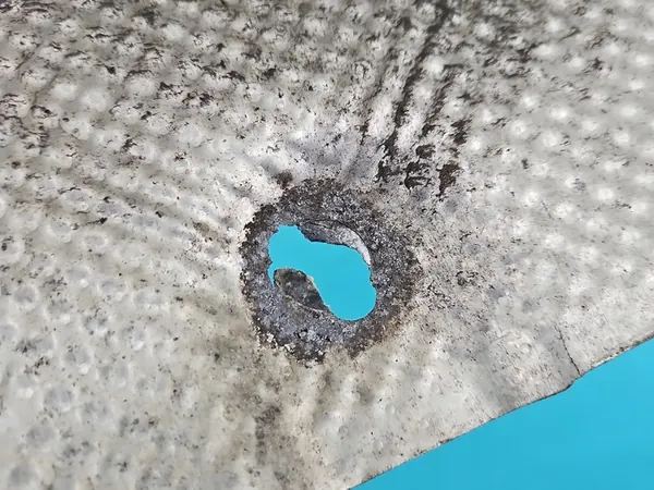 Escudo Térmico Kia Stinger 17- 2.0 T-GDI IMPRK1522173 image 3