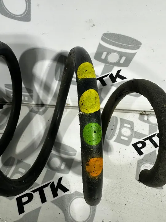 Molla di Sospensione Anteriore VW Passat 3C0411105C image 2