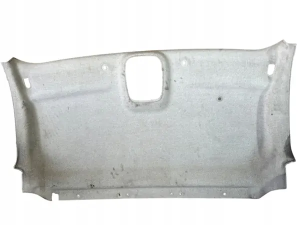OEM 739012577R Dachhimmel Renault Trafic III Vivaro image 2