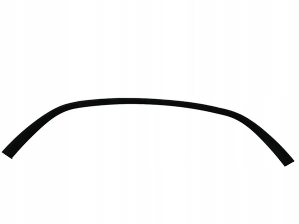 Spoiler paraurti anteriore Renault Scenic III OEM 9600150002R image 2