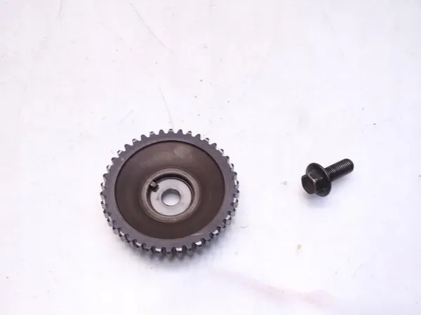 Polea de árbol de levas OEM 130249082R Renault Clio image 3