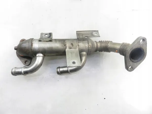 Refroidisseur d'échappement OEM 038131513K Skoda Roomster image 4