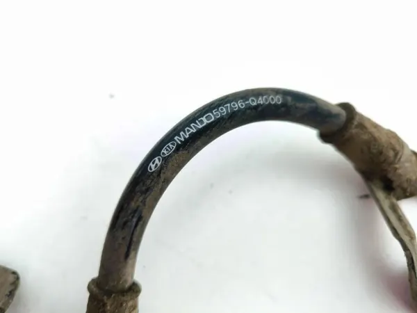 Kia Niro 2021 Arnes Sensor ABS Trasero 59796Q4000 image 9