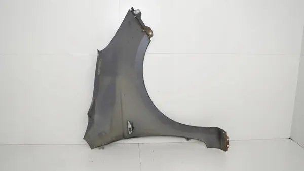 Para-lamas dianteiro esquerdo OEM 360204341 Hyundai i20 08-12 image 9