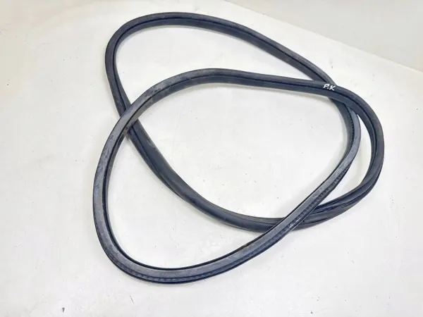 Citroen C4 II framdörr fönsterpackning OEM MTL22028 image 2