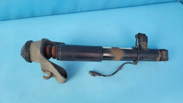 Ammortizzatore posteriore sinistro VOLVO XC90 II 31658382 image 8