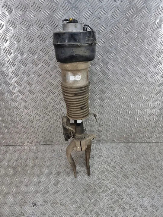 Vorderer Luftfederungsdämpfer OEM N9X23C285BD image 8