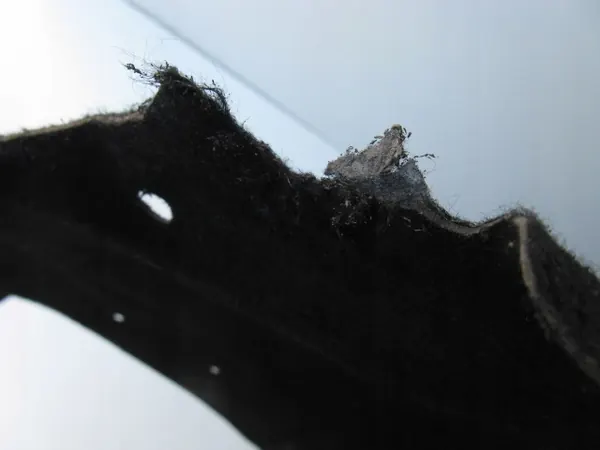 Left Front Wheel Arch Audi A4 B6 image 2