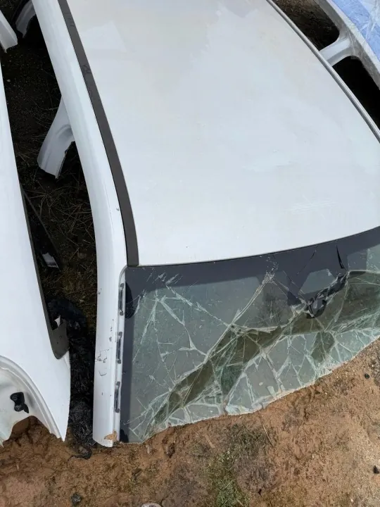 BMW X1 U11 Dachviertelpanel OEM ĆWIARTKA DACH image 4