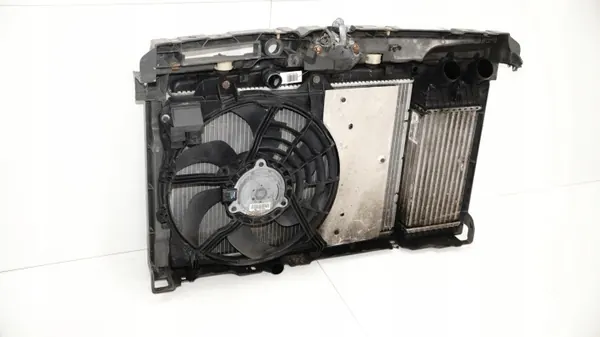 OEM 360155253 Voorste Riem voor Citroen C4 Cactus image 10