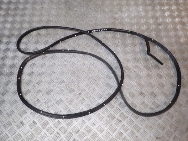Türdichtung Hinten Rechts OEM fsdfcxvdssdg Toyota image 2