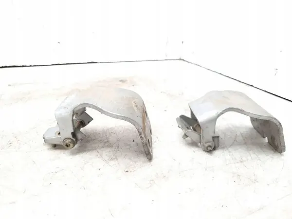 Charnière de hayon CITROËN C3 PLURIEL EZRC image 9