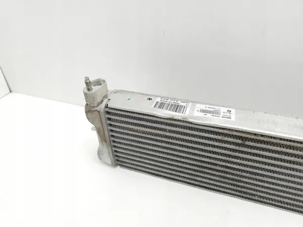 BMW 8 G14 2023 Radiador de óleo image 5