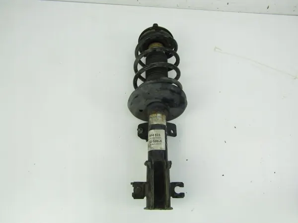 Amortecedor dianteiro direito Fiat Bravo II OEM 314623 image 3