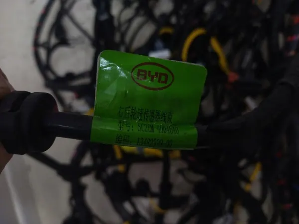 SC2EM-4004640 BYD Dolphin Cableado Interior de Cabina image 8