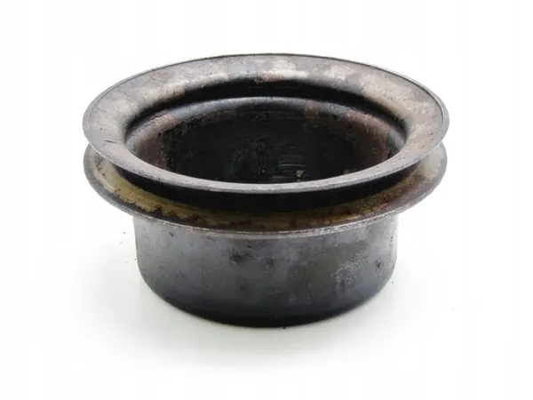Poulie de Pompe à Eau OEM 11001519059 Kia Mazda image 3