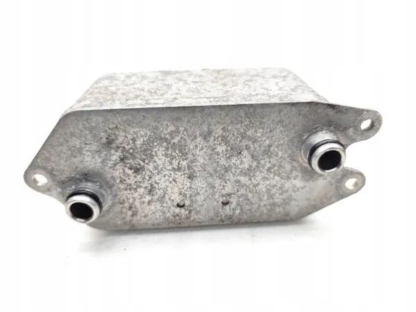 Refroidisseur d'huile Tesla Model 3 OEM 1096215-00-C image 6
